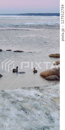 Tranquil scene of ducks gliding through calm lake amid large rocks and ice formations, with serene horizon at sunset. Captures peaceful natural winter environment. Vertical photo 127912784
