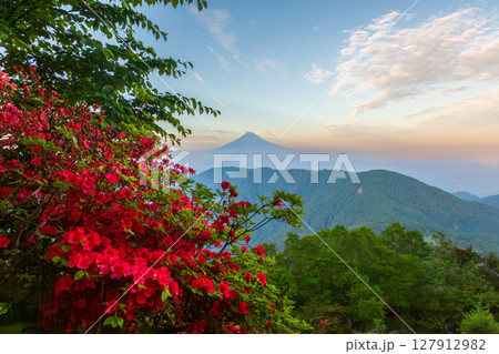 夜明けの白谷ノ丸登山道から富士山とつつじ 夜明けの白谷ノ丸登山道から富士山とつつじ 127912982