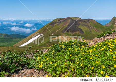初夏の秋田駒ヶ岳登山 127913317