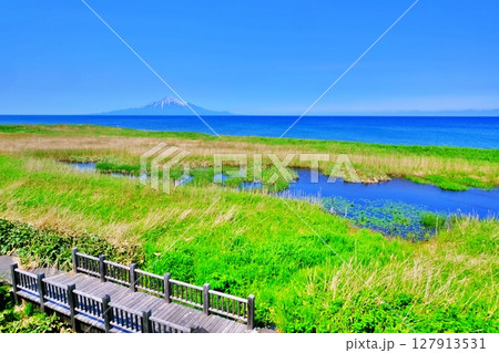 利尻島を望むサロベツ湿原からの絶景 127913531