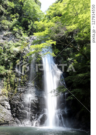 大阪の観光スポット:箕面の滝 大阪の観光スポット:箕面の滝 127914550