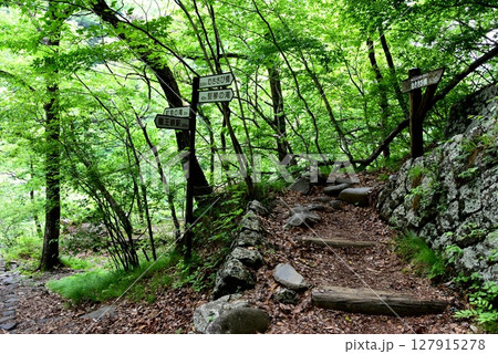 日光市　龍王峡ハイキングコース（自然探勝路）と道案内と新緑 127915278