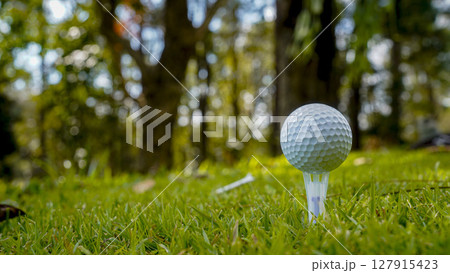 Golf ball on green grass in the evening golf course with sunshine background. 127915423