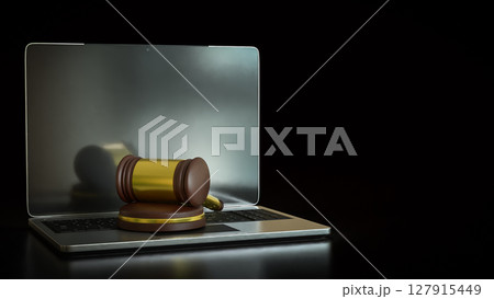 The Hammer Law on Laptop for Technology concept 3d Rendering. The Hammer Law on Laptop for Technology concept 3d Rendering. 127915449