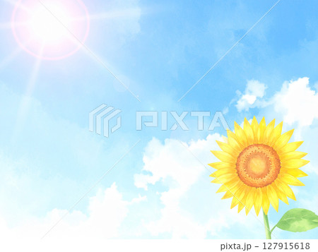 一輪の向日葵と青空 127915618