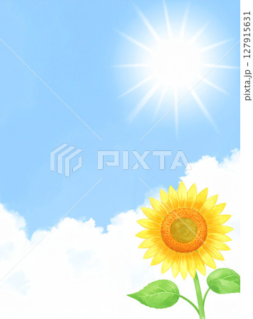 一輪の向日葵と青空 127915631