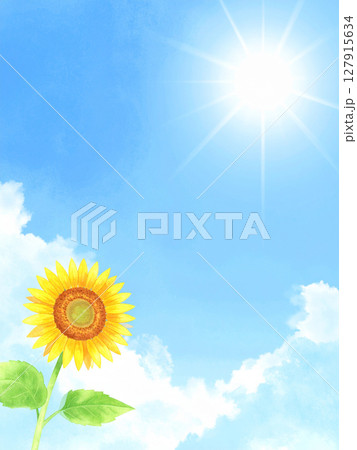 一輪の向日葵と青空 127915634