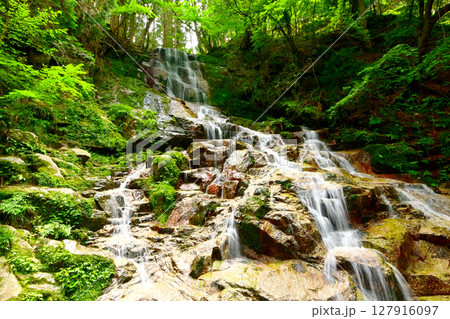 初夏の来若の滝(岐阜県 串原七つの滝) 初夏の来若の滝(岐阜県 串原七つの滝) 127916097
