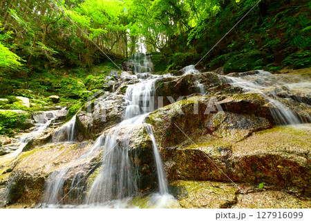 初夏の来若の滝（岐阜県　串原七つの滝） 127916099