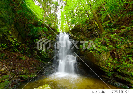 初夏のお軽の滝(岐阜県 串原七つの滝) 初夏のお軽の滝(岐阜県 串原七つの滝) 127916105