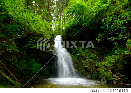 初夏の幸呼の滝(岐阜県 串原七つの滝) 初夏の幸呼の滝(岐阜県 串原七つの滝) 127916116