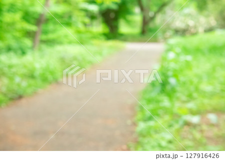 自然公園の緑のあるぼかし背景 自然公園の緑のあるぼかし背景 127916426