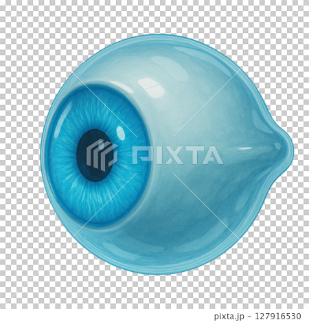 A right-facing eyeball with an impressive blue iris, a realistic eyeball drawn with a glass texture, and medical CG of an eyeball showing its realistic structure 127916530