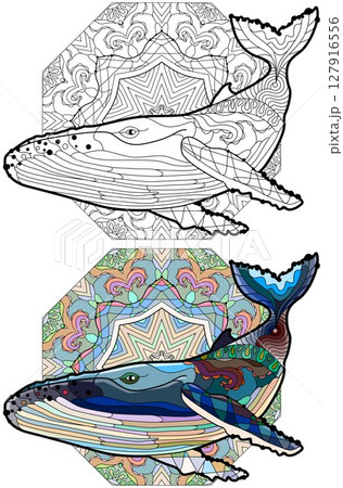 Swimming whale for anti stress Coloring Page. Color and outline set Swimming whale for anti stress Coloring Page. Color and outline set 127916556