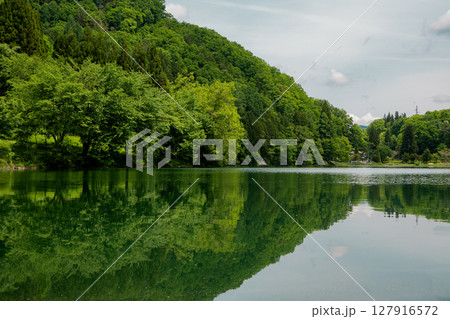 湖面に映る新緑の森　中綱湖　長野県大町市 127916572