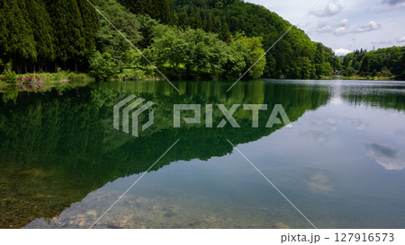 湖面に映る新緑の森　中綱湖　長野県大町市 127916573