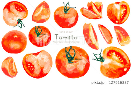 水彩トマトのベクターイラスト素材セット 127916887