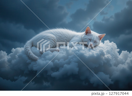 serene white cat peacefully sleeping on fluffy cloud in dreamy sky 127917044