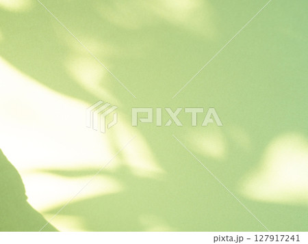Green Background Abstract Overlay Shadow Leaf blur Cement Paper Mockup Product Beauty Cosmetic or Backdrop Template Eco System Environment Nature Clean Carbon, Card Art Retro Frame Wall Floor Web. Green Background Abstract Overlay Shadow Leaf blur Cement Paper Mockup Product Beauty Cosmetic or Backdrop Template Eco System Environment Nature Clean Carbon, Card Art Retro Frame Wall Floor Web. 127917241