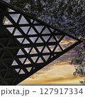 Triangular Lattice Structure Against a Colorful Sky, Auroville, Tamil Nqdu. 127917334