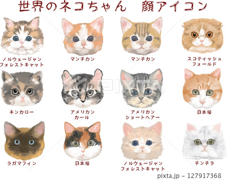 世界のネコちゃん　顔アイコンセット 127917368