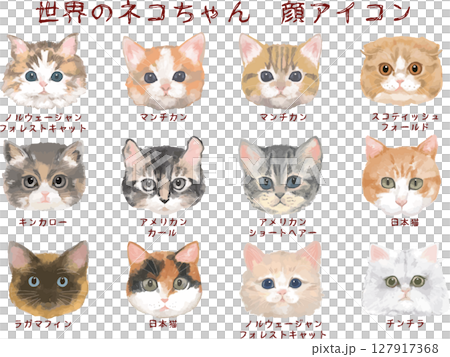 來自世界各地的貓臉圖示集 來自世界各地的貓臉圖示集 127917368