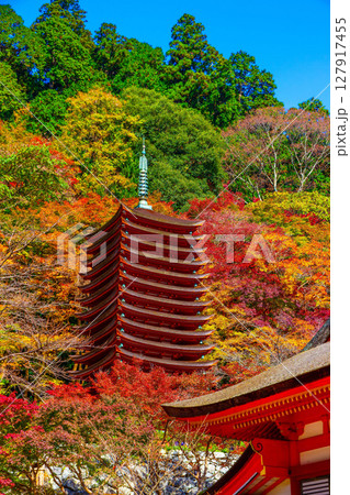 錦秋の談山神社 127917455