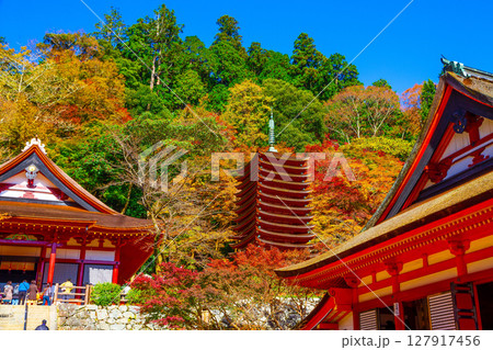 錦秋の談山神社 錦秋の談山神社 127917456