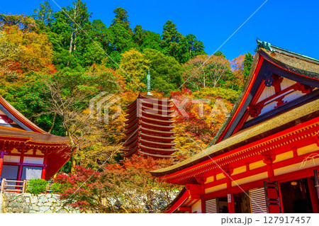 錦秋の談山神社 127917457
