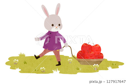 うさぎとリンゴ うさぎとリンゴ 127917647