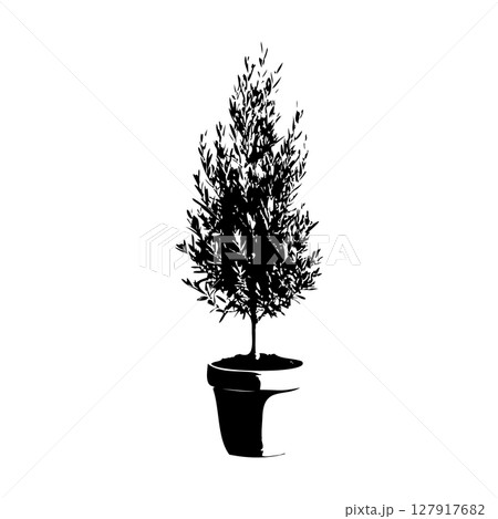 オリーブの木鉢植えのシルエット_1 オリーブの木鉢植えのシルエット_1 127917682