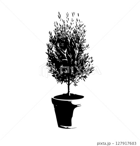 オリーブの木鉢植えのシルエット_2 オリーブの木鉢植えのシルエット_2 127917683