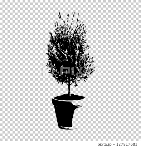 オリーブの木鉢植えのシルエット_2 オリーブの木鉢植えのシルエット_2 127917683