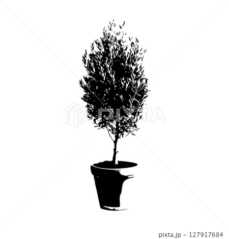 オリーブの木鉢植えのシルエット_3 オリーブの木鉢植えのシルエット_3 127917684