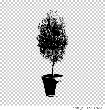 オリーブの木鉢植えのシルエット_3 オリーブの木鉢植えのシルエット_3 127917684