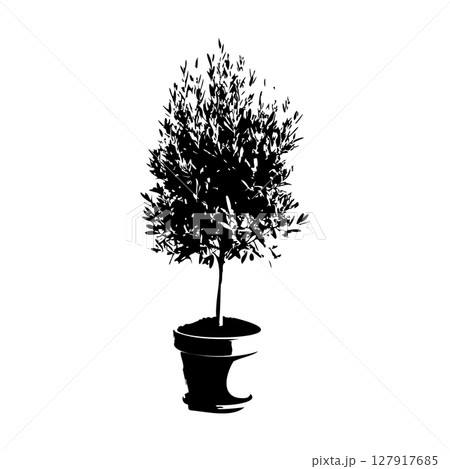 オリーブの木鉢植えのシルエット_4 オリーブの木鉢植えのシルエット_4 127917685