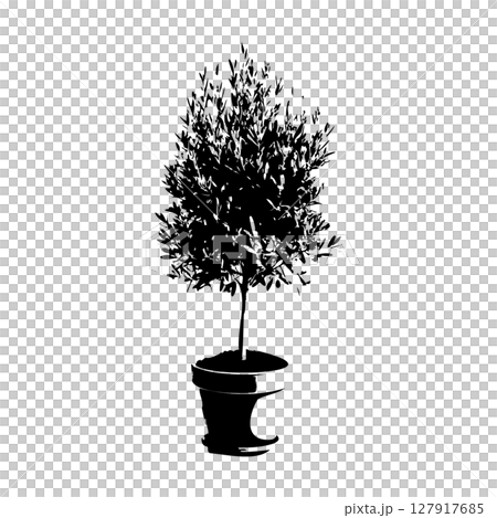オリーブの木鉢植えのシルエット_4 オリーブの木鉢植えのシルエット_4 127917685