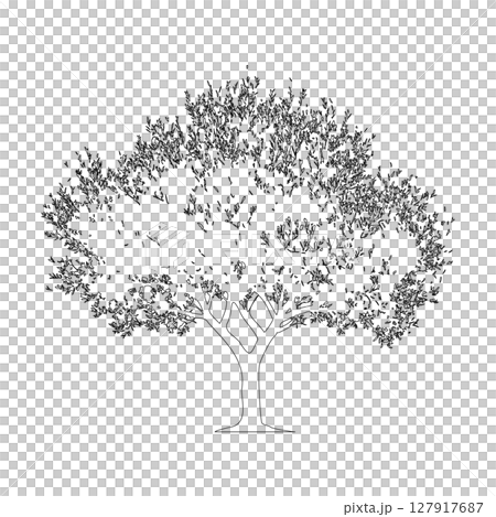 橄欖樹線描插圖_2 橄欖樹線描插圖_2 127917687