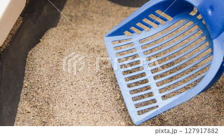 Blue scoop in cat litter box offering feline hygiene and cleanliness solutions. Pet care items Blue scoop in cat litter box offering feline hygiene and cleanliness solutions. Pet care items 127917882