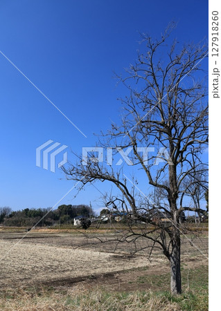 埼玉県上尾市瓦葺の風景 127918260
