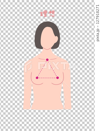 きれいなバストの形の女性の上半身イラスト素材 127918271