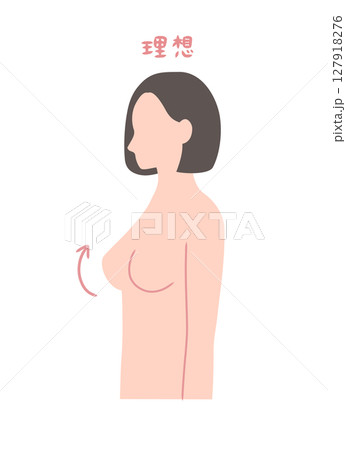 きれいなバストの女性の横向きイラスト素材 きれいなバストの女性の横向きイラスト素材 127918276