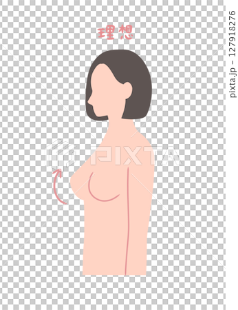 Sideways illustration of a beautiful busty woman 127918276