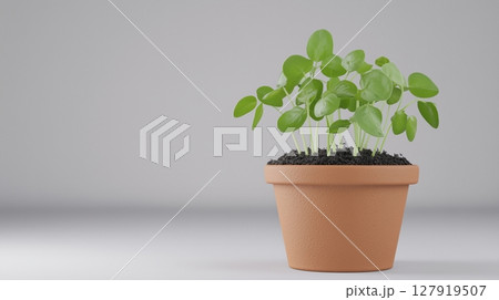 Peas sprout tree vegetable clay pot and soil miniature house plant botanical decoration 127919507