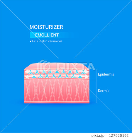 Moisturizer emollient. Fills in skin ceramides helps keep skin moisture youthful. Collagen solution and hyaluronic acid serum. For cosmetic advertising medical beauty. Vector EPS10. 127920192