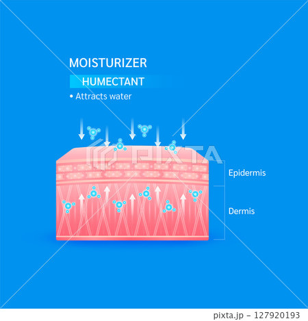 Moisturizer humectants. Attract water for normal or skin that lacks water helps keep skin youthful. Collagen solution and hyaluronic acid serum. For cosmetic advertising medical beauty. Vector EPS10. 127920193