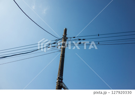 電信柱の先端のとんがり帽子 電信柱の先端のとんがり帽子 127920330