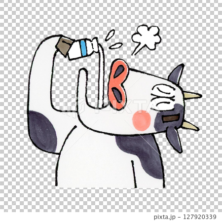 牛乳を飲む牛 127920339