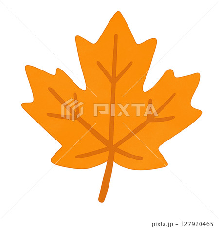 maple leaf maple leaf 127920465