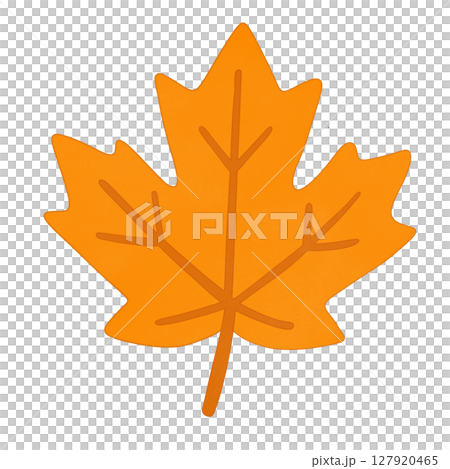 maple leaf maple leaf 127920465